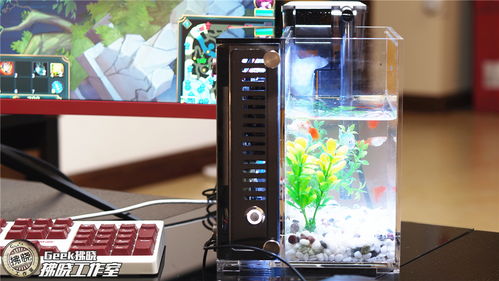 魚巢主機(jī) 電腦機(jī)箱里游動的科技與詩意